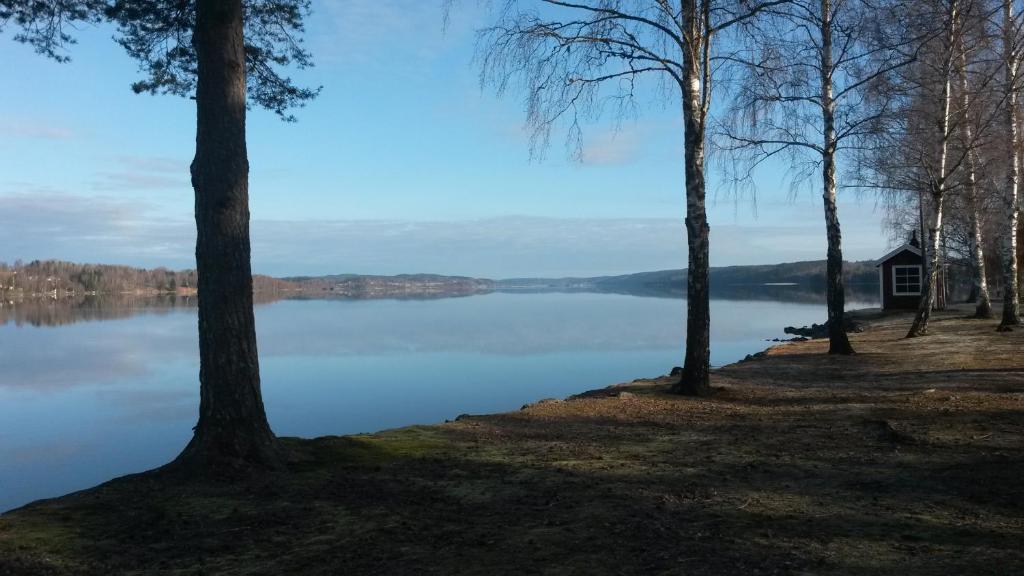 Skoena Rum Fryksta Kil Quarto foto